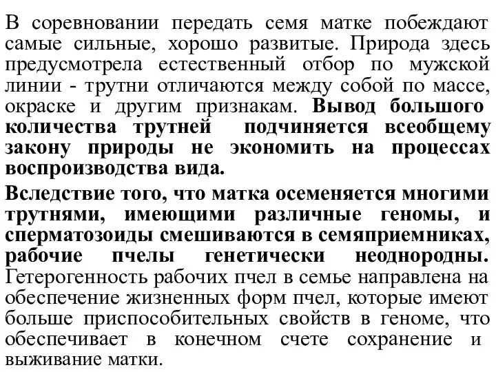 В соревновании передать семя матке побеждают самые сильные, хорошо развитые. Природа здесь