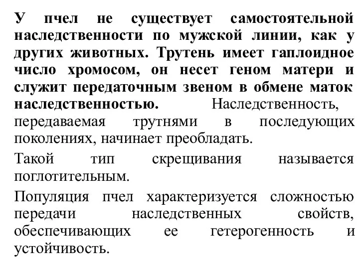 У пчел не существует самостоятельной наследственности по мужской линии, как у других