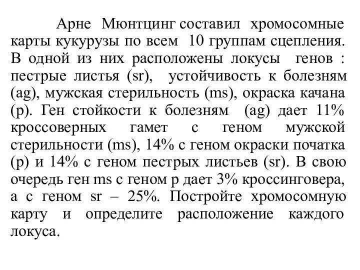 Арне Мюнтцинг составил хромосомные карты кукурузы по всем 10 группам сцепления. В