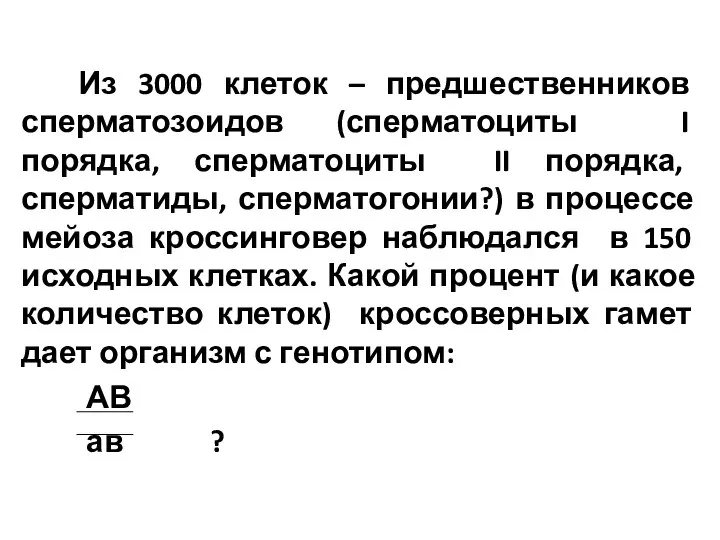 Из 3000 клеток – предшественников сперматозоидов (сперматоциты I порядка, сперматоциты II порядка,