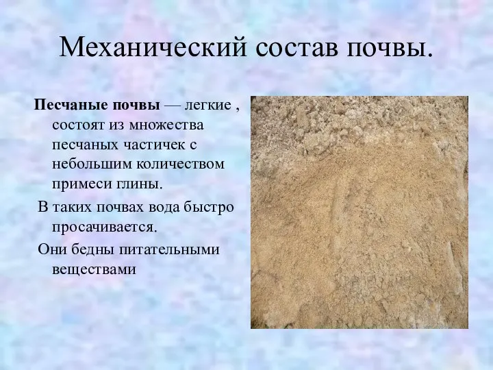 Механический состав почвы. Песчаные почвы — легкие , состоят из множества песчаных