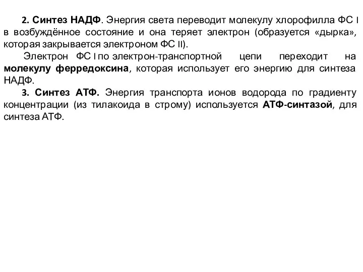 2. Синтез НАДФ. Энергия света переводит молекулу хлорофилла ФС I в возбуждённое