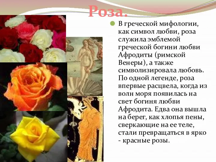 В греческой мифологии, как символ любви, роза служила эмблемой греческой богини любви