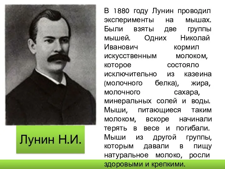 Лунин Н.И. В 1880 году Лунин проводил эксперименты на мышах. Были взяты