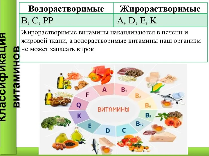 Классификация витаминов