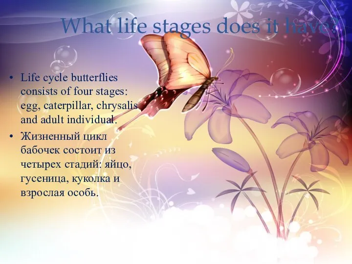 What life stages does it have? Life cycle butterflies consists of four