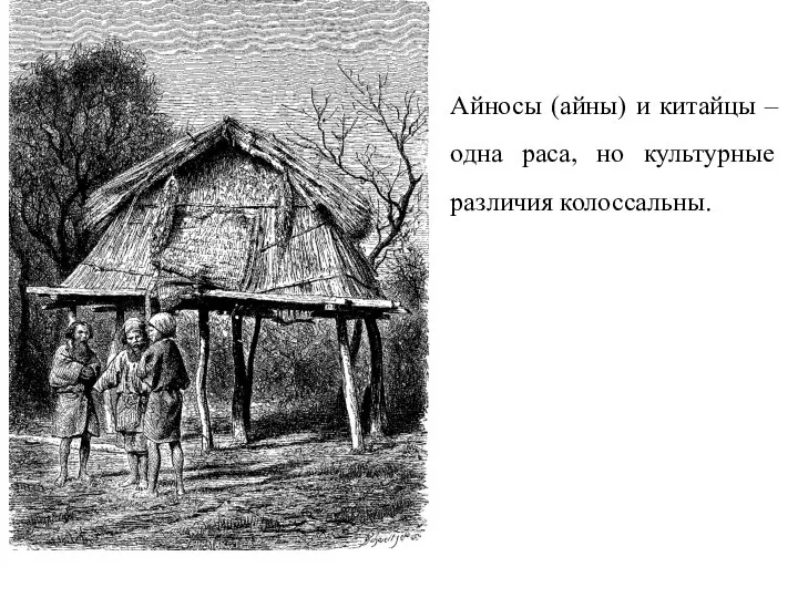 Айносы (айны) и китайцы – одна раса, но культурные различия колоссальны.