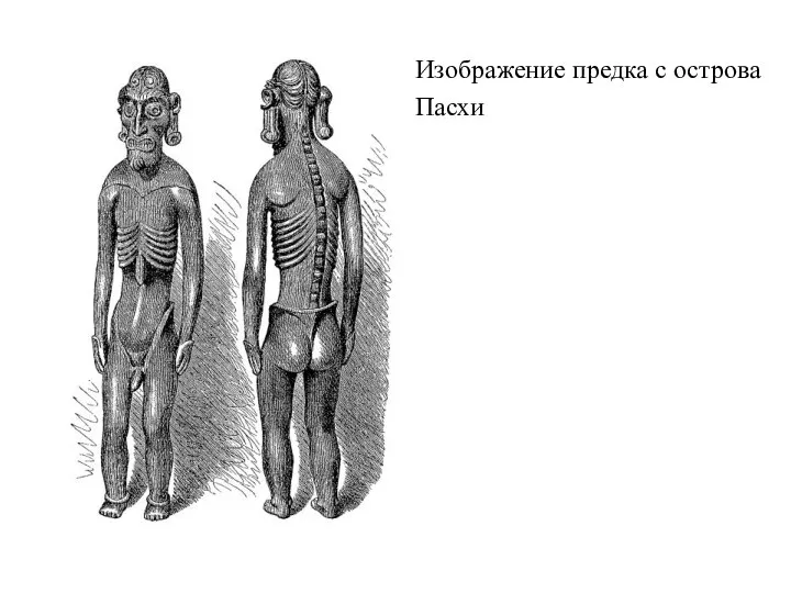 Изображение предка с острова Пасхи