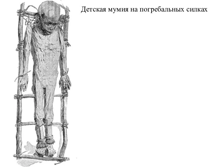 Детская мумия на погребальных силках