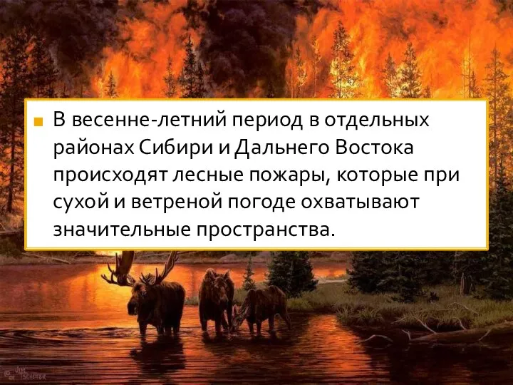 В весенне-летний период в отдельных районах Сибири и Дальнего Востока происходят лесные