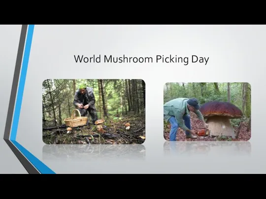World Mushroom Picking Day