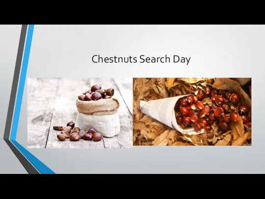 Chestnuts Search Day