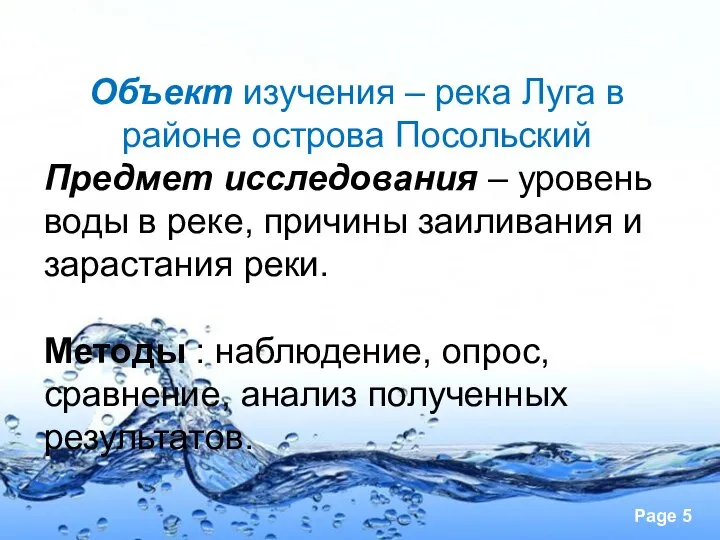 Объект изучения – река Луга в районе острова Посольский Предмет исследования –