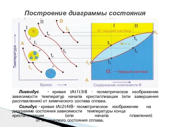 Построение диаграммы состояния Ликвидус - кривая tAt1t3tB - геометрическое изображение зависимости температур