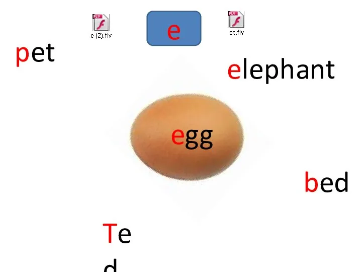 e egg elephant pet Ted bed egg