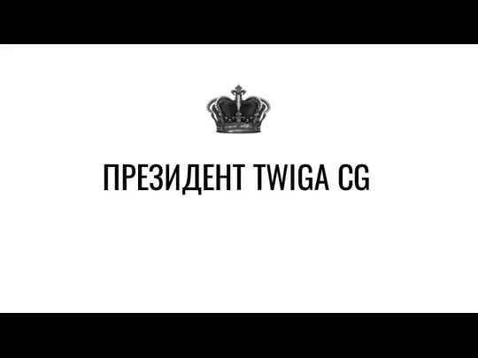 ПРЕЗИДЕНТ TWIGA CG