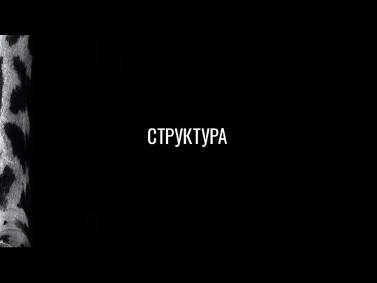 СТРУКТУРА