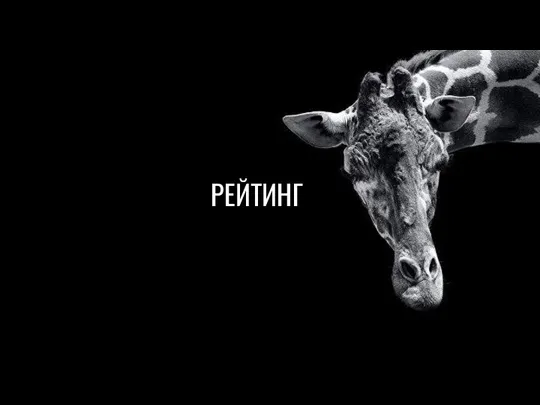 РЕЙТИНГ РЕЙТИНГ