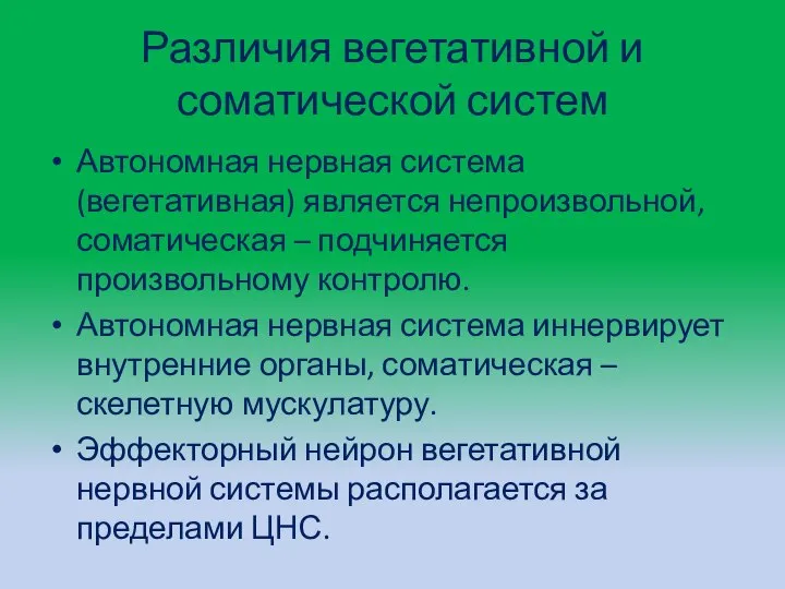 Различия вегетативной и соматической систем Автономная нервная система (вегетативная) является непроизволь­ной, соматическая