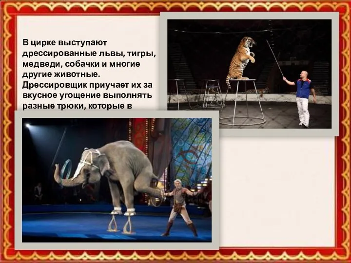 В цирке выступают дрессированные львы, тигры, медведи, собачки и многие другие животные.