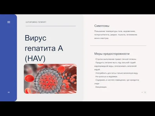 05 Вирус гепатита А (HAV) ОСТОРОЖНО: ГЕПАТИТ!