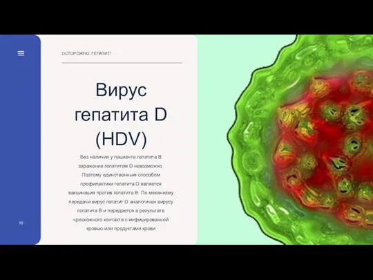 ОСТОРОЖНО: ГЕПАТИТ! 10 Без наличия у пациента гепатита В заражение гепатитом D