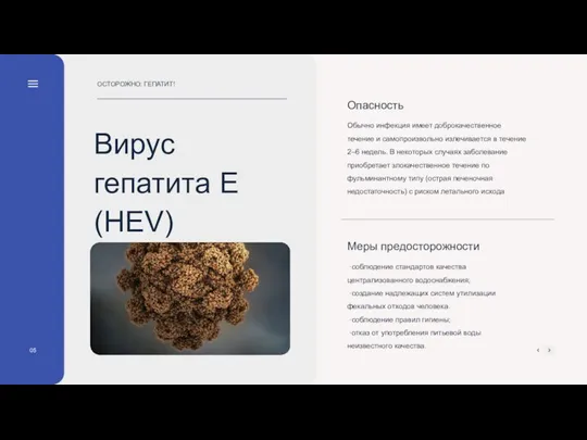 05 Вирус гепатита Е (HEV) ОСТОРОЖНО: ГЕПАТИТ!