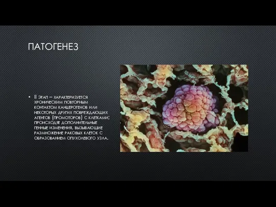 ПАТОГЕНЕЗ II этап – характеризуется хроническим повторным контактом канцерогенов или некоторых других