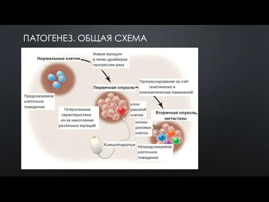 ПАТОГЕНЕЗ. ОБЩАЯ СХЕМА