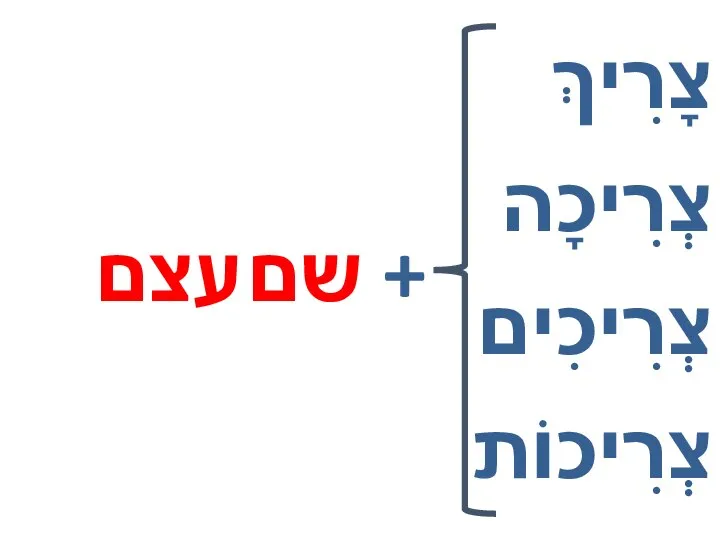 צָרִיךְ צְרִיכָה צְרִיכִים צְרִיכוֹת + שם עצם