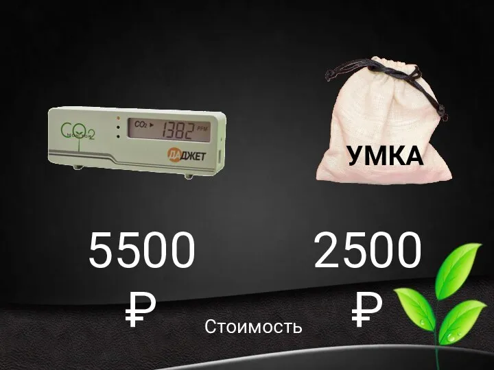 Стоимость УМКА 5500 ₽ 2500 ₽