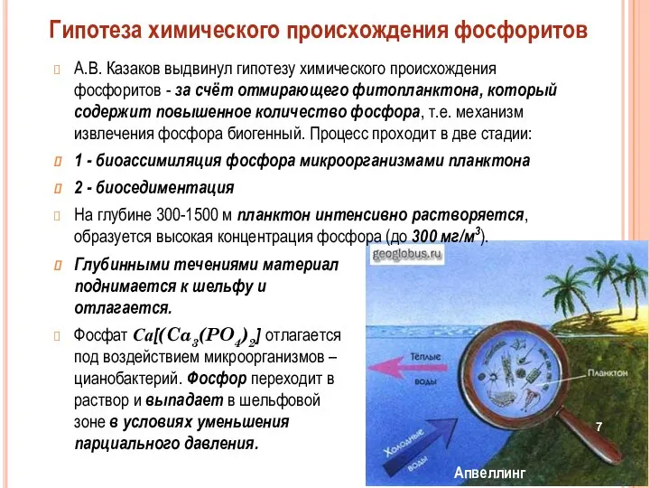 А.В. Казаков выдвинул гипотезу химического происхождения фосфоритов - за счёт отмирающего фитопланктона,