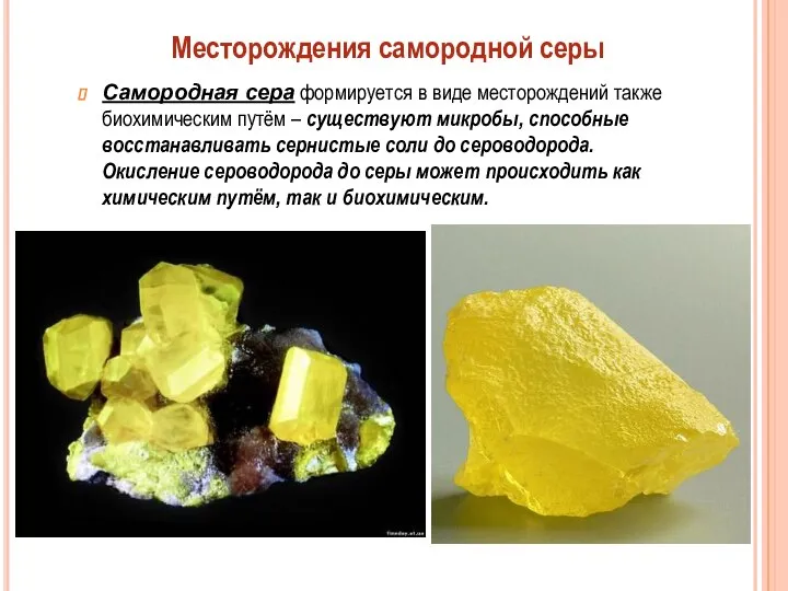 Самородная сера формируется в виде месторождений также биохимическим путём – существуют микробы,