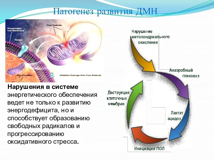 Нарушения в системе энергетического обеспечения ведет не только к развитию энергодефицита, но