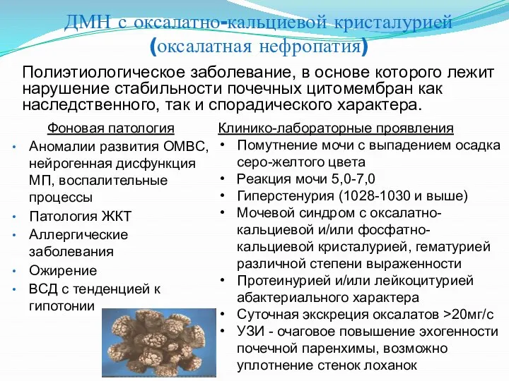 ДМН с оксалатно-кальциевой кристалурией (оксалатная нефропатия) Полиэтиологическое заболевание, в основе которого лежит