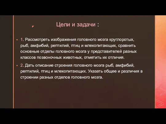 Цели и задачи : 1. Рассмотреть изображения головного мозга круглоротых, рыб, амфибий,