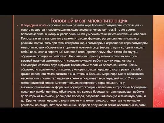 Головной мозг млекопитающих В переднем мозге особенно сильно развита кора больших полушарий,