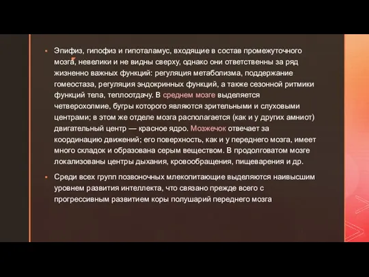 Эпифиз, гипофиз и гипоталамус, входящие в состав промежуточного мозга, невелики и не