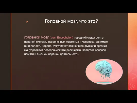 Головной мозг, что это? ГОЛОВНО́Й МОЗГ ( лат. Encephalon) пе­ред­ний от­дел центр.