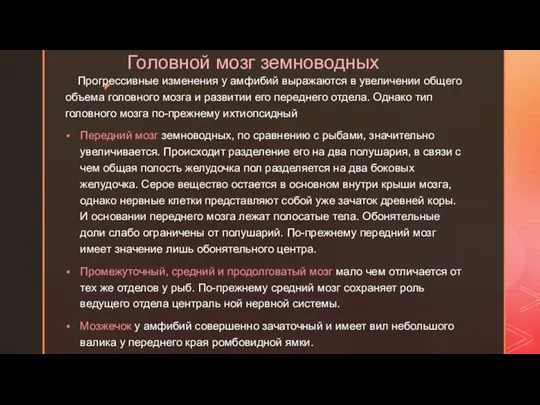 Головной мозг земноводных Прогрессивные изменения у амфибий выражаются в увеличении общего объема