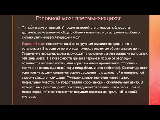 Головной мозг пресмыкающихся Тип мозга зауропсидный. У представителей этого класса наблюдается дальнейшее