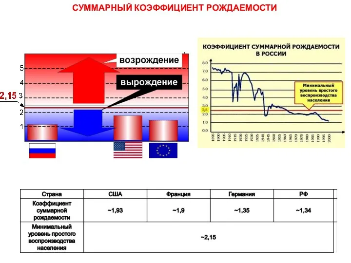 СУММАРНЫЙ КОЭФФИЦИЕНТ РОЖДАЕМОСТИ