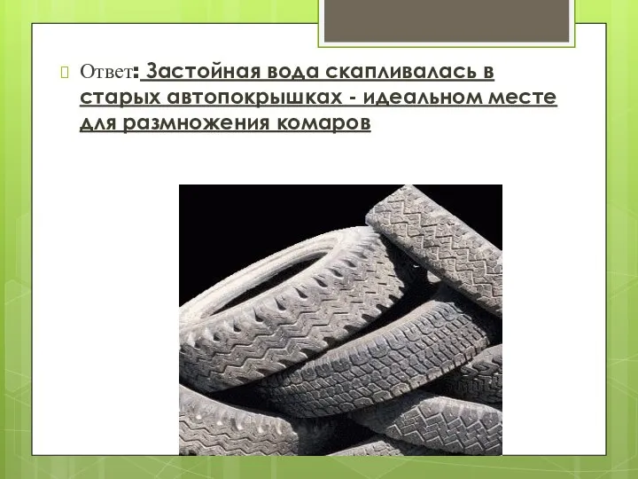 Ответ: Застойная вода скапливалась в старых автопокрышках - идеальном месте для размножения комаров