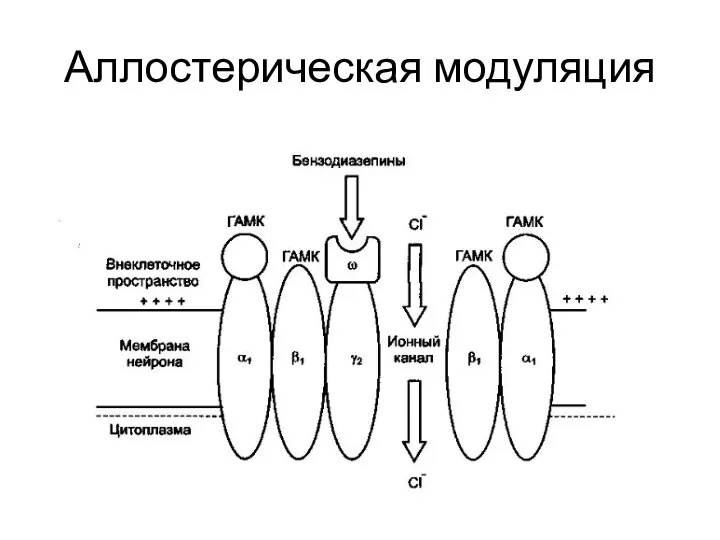 Аллостерическая модуляция