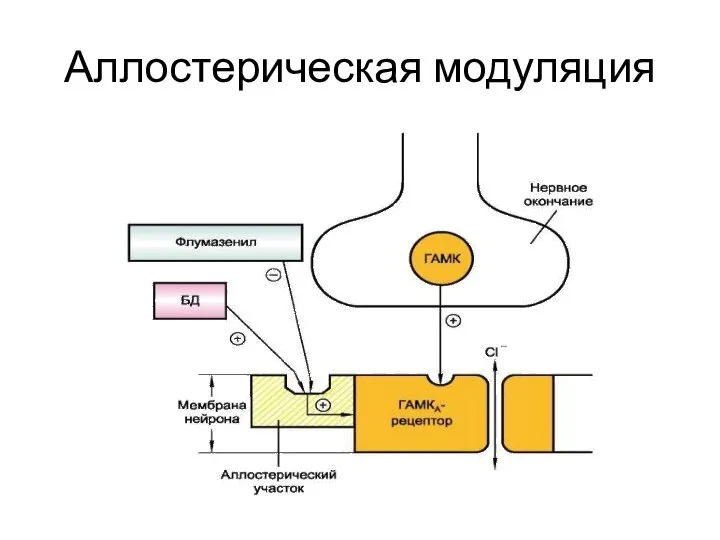 Аллостерическая модуляция