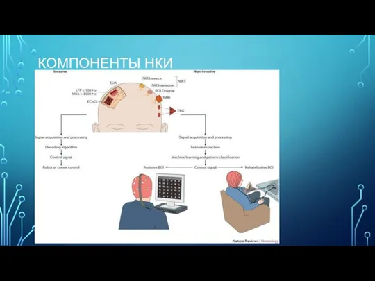 КОМПОНЕНТЫ НКИ