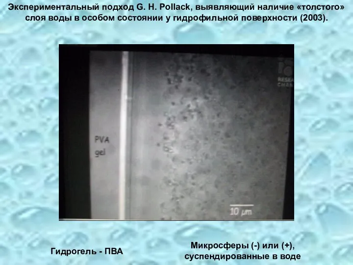 Гидрогель - ПВА Микросферы (-) или (+), суспендированные в воде Экспериментальный подход