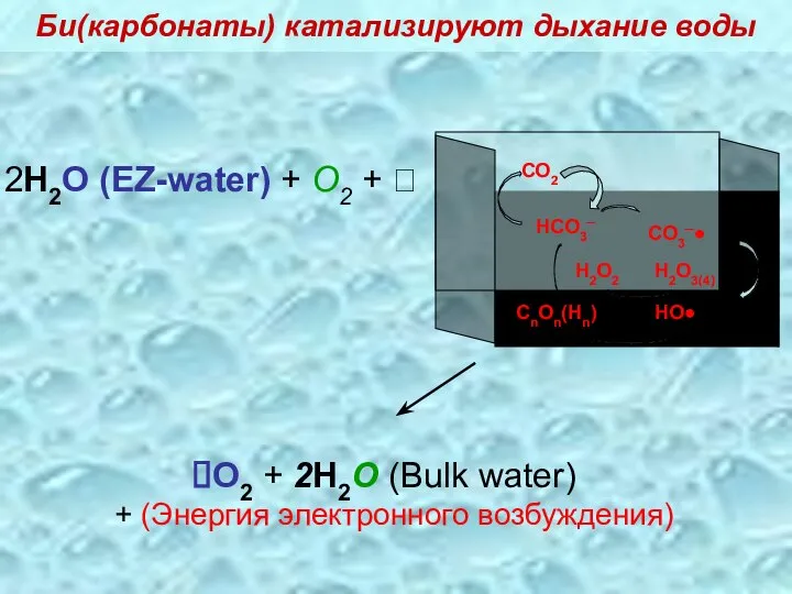 2H2O (EZ-water) + O2 + ? O2 + 2H2O (Bulk water) +