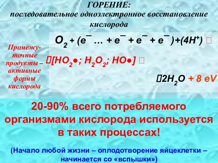 20-90% всего потребляемого организмами кислорода используется в таких процессах! (Начало любой жизни