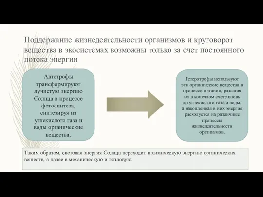 Поддержание жизнедеятельности организмов и круговорот вещества в экосистемах возможны только за счет